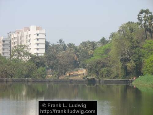 Sanjay Gandhi National Park, Borivali National Park, Maharashtra, Bombay, Mumbai, India